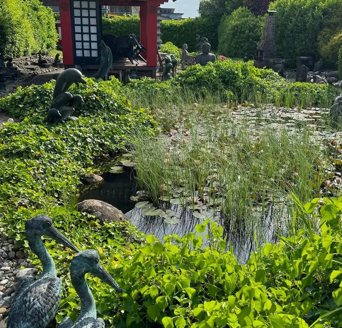 Asian Garden - Das Ferienhaus Lohmar Guest house